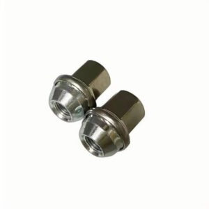 Tire Nut Screws Original Equipment Fit for Vehicle Maintenance And Repair SAIC Maxus G10 G20 G50 T60 T70 EV30